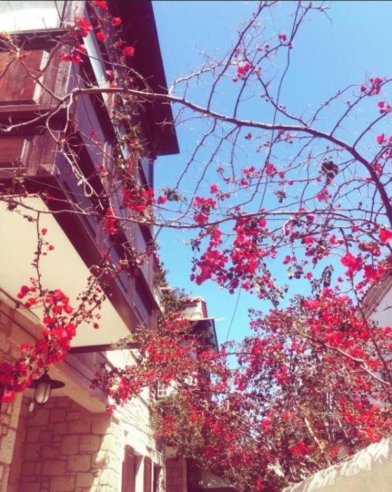 Alayaz Hotel Alaçatı Ngoại thất bức ảnh