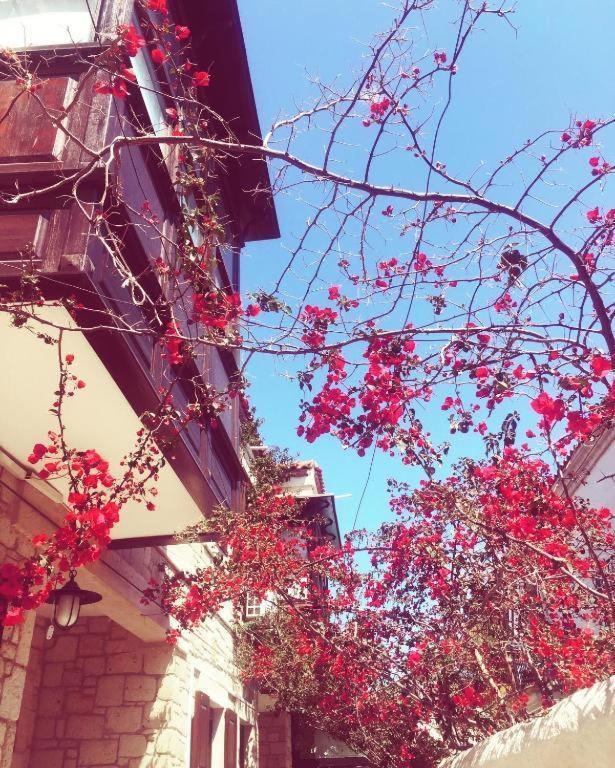 Alayaz Hotel Alaçatı Ngoại thất bức ảnh