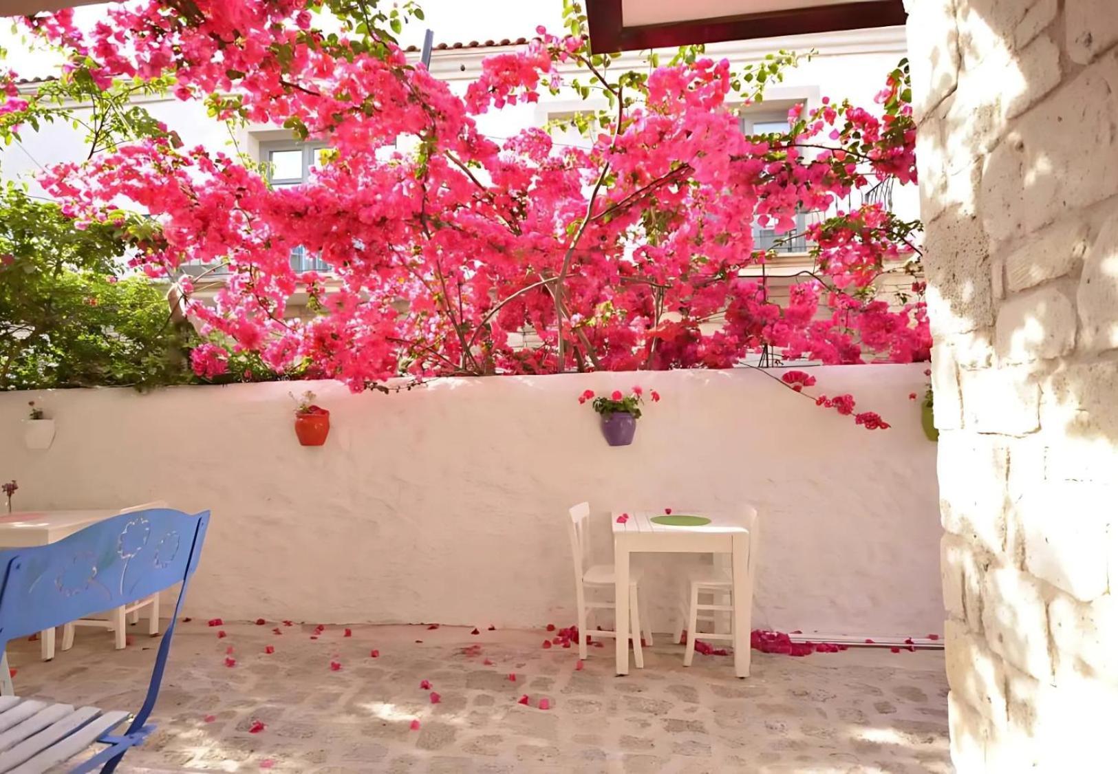 Alayaz Hotel Alaçatı Ngoại thất bức ảnh
